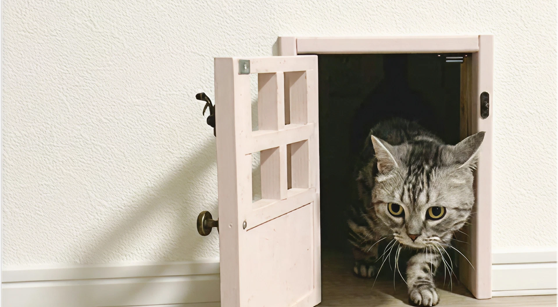 階段下・ネコ・通路