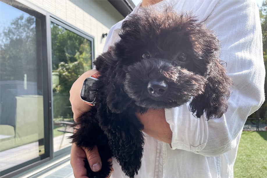 スタッフ皆さんが親切に対応してくださって好感が持てました。