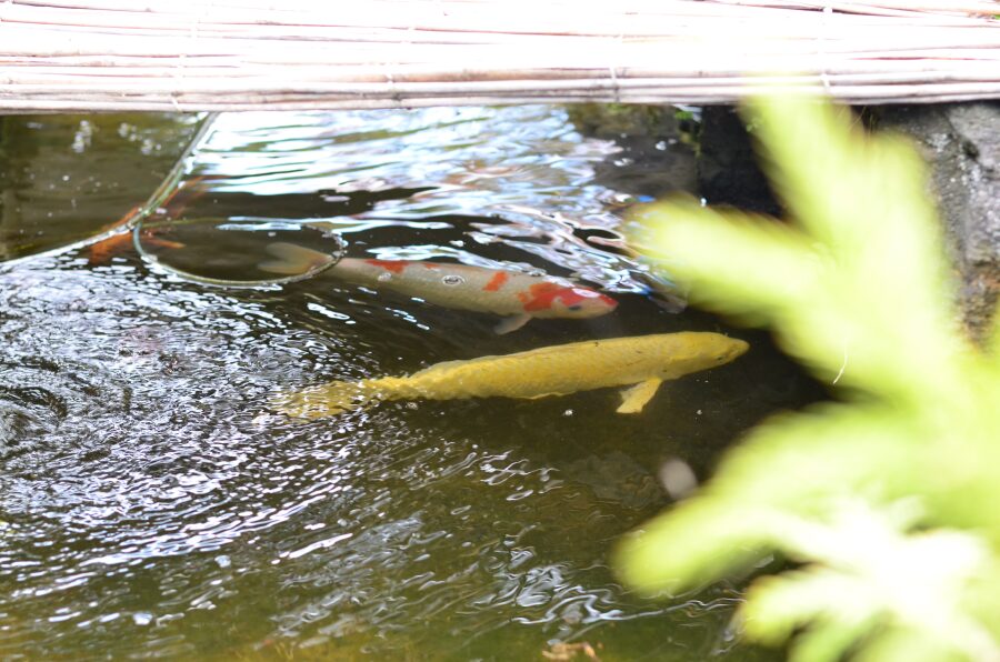 上質な和モダン住宅