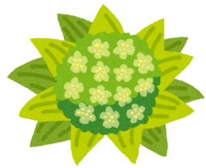 駐車スペースは後回しにせずにっ